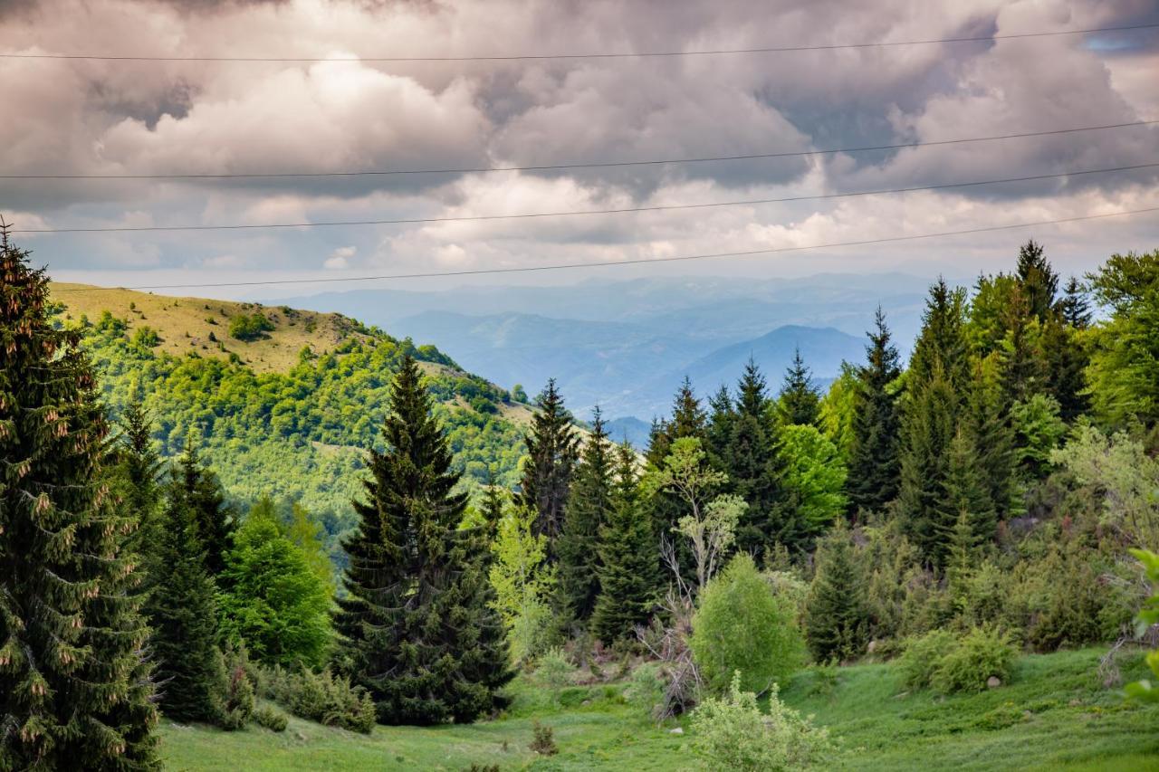 Apartments View Dvori E25 Kopaonik Esterno foto